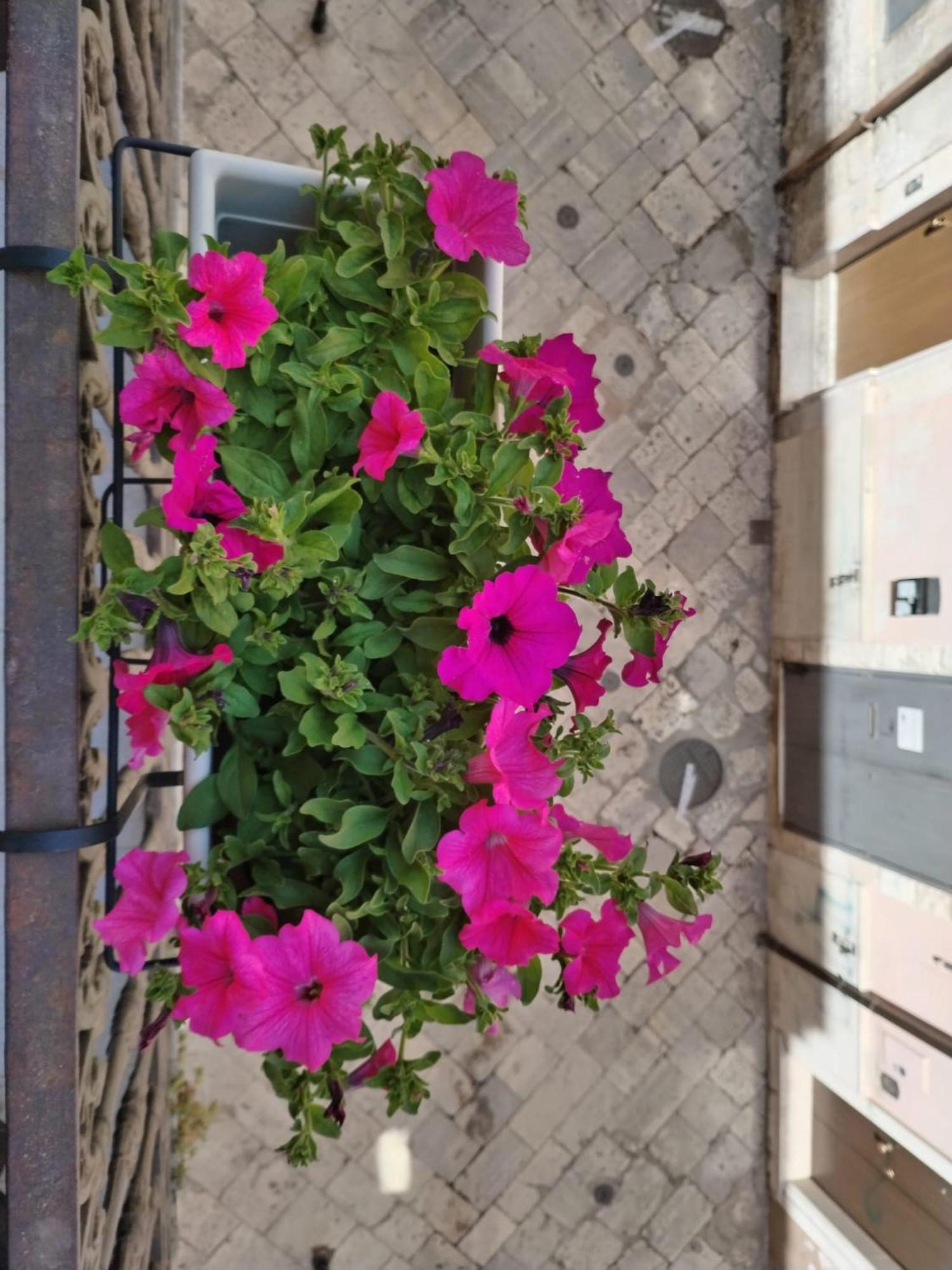 Happy House Salento Apartment Brindisi Eksteriør billede
